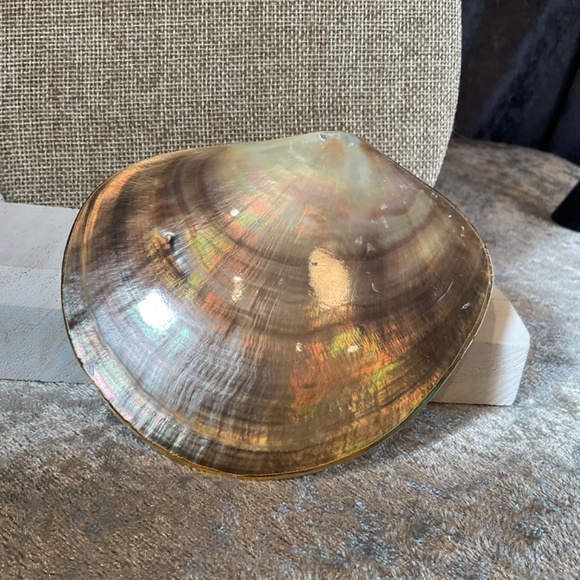 Vintage Large Gold Rimmed Clam Shell Scarf Holder - Picture 2 of 3